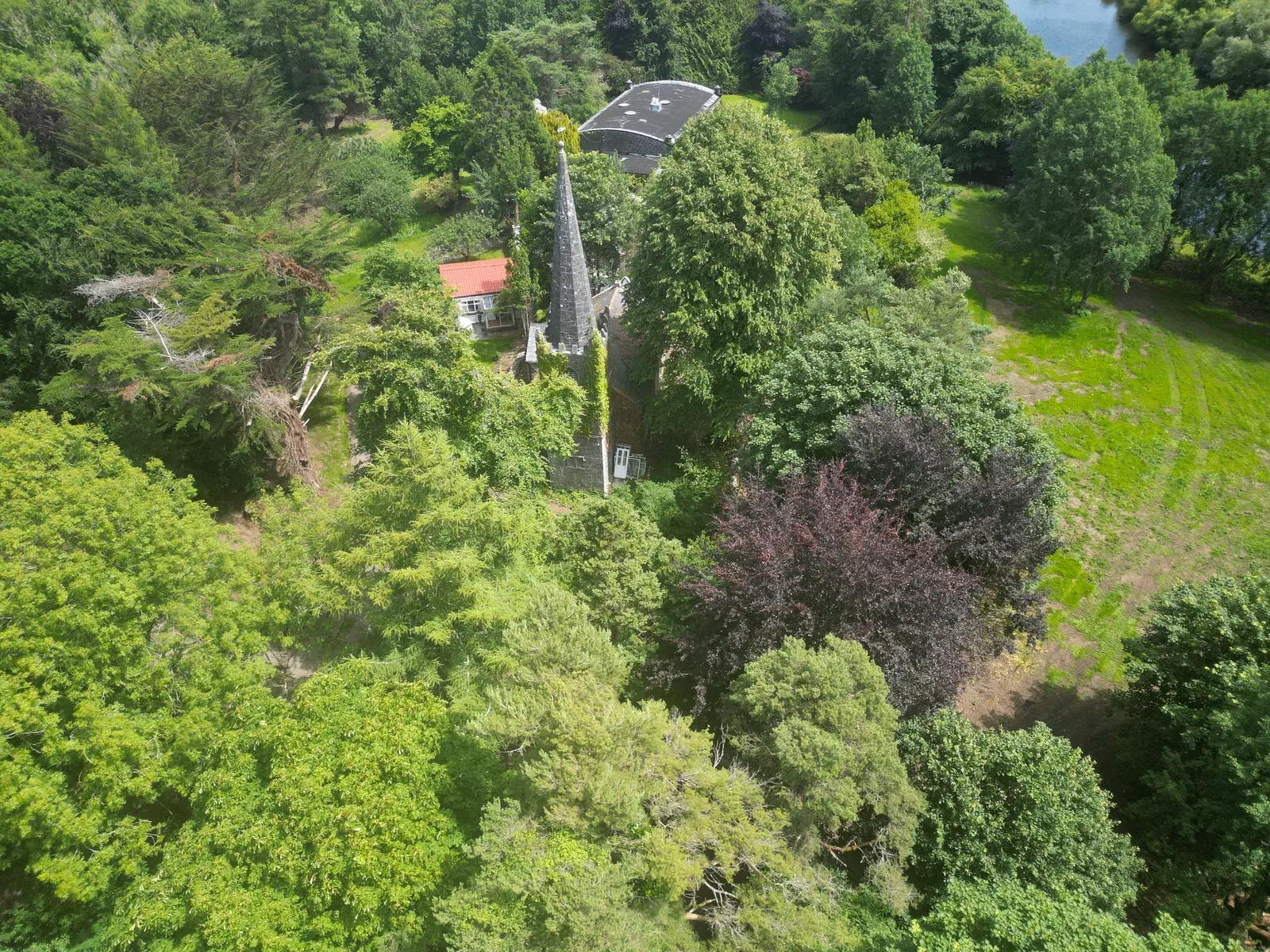The Entire Estate — photograph 8