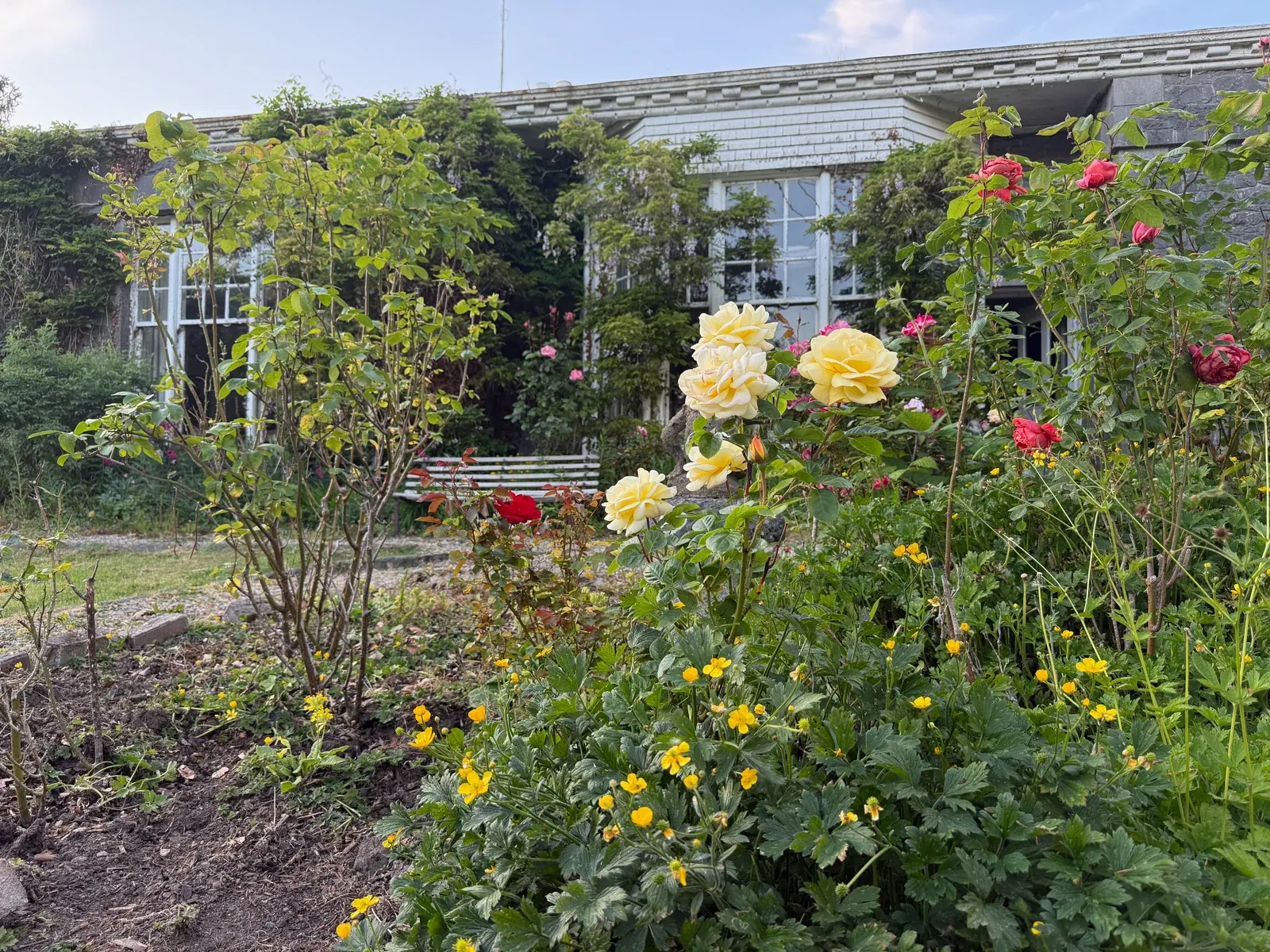 The Entire Estate — photograph 6