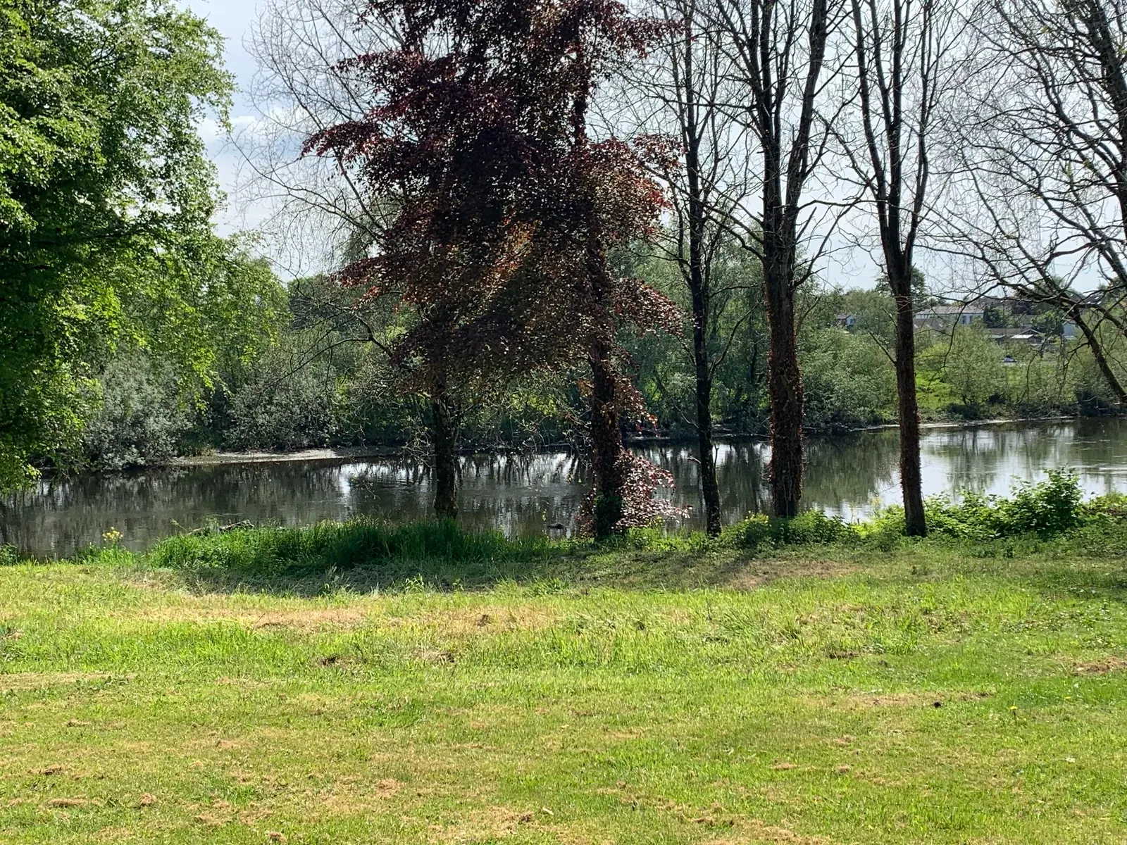The Garden