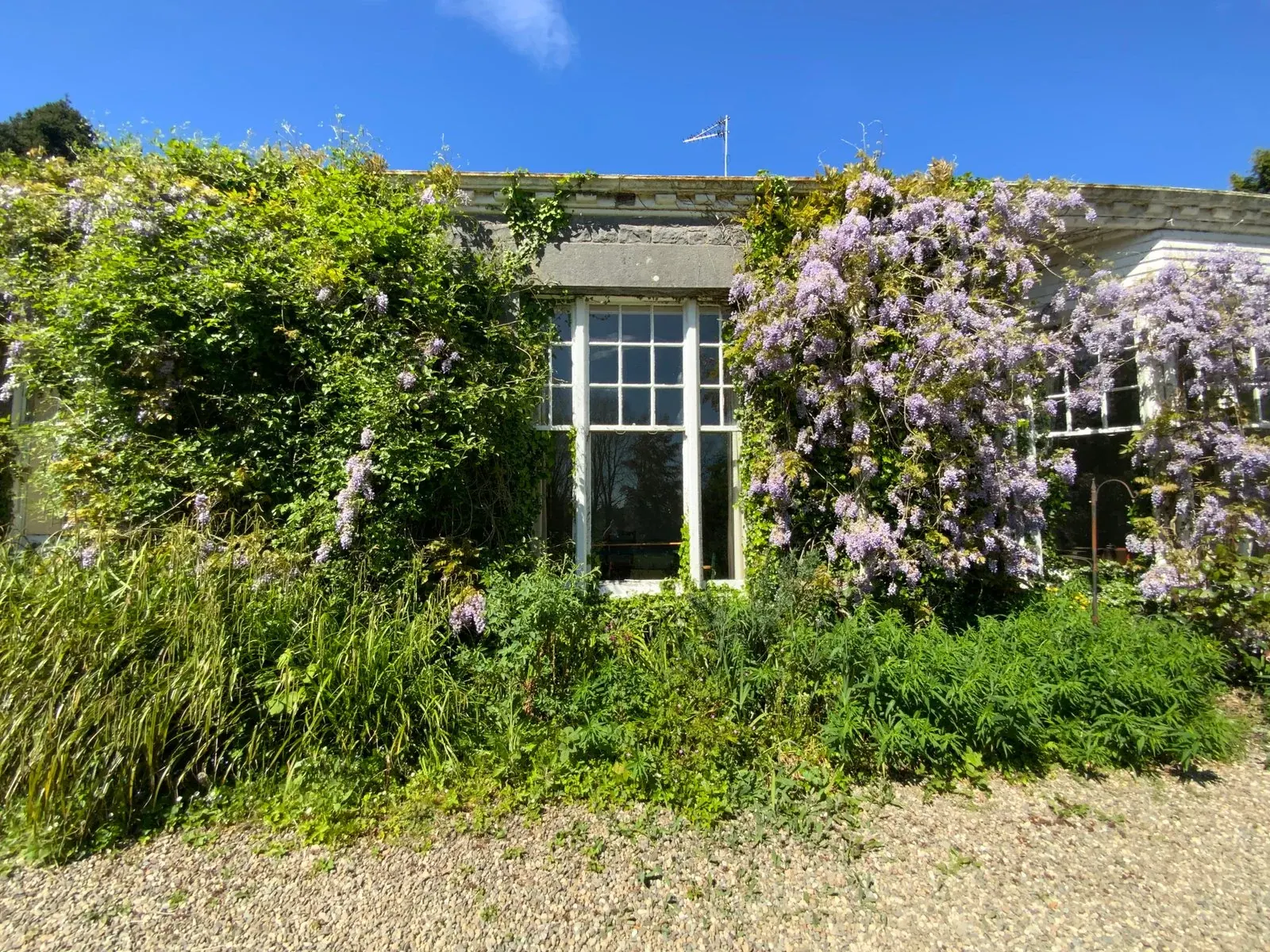 The Shannon River House Rooms — photograph 6