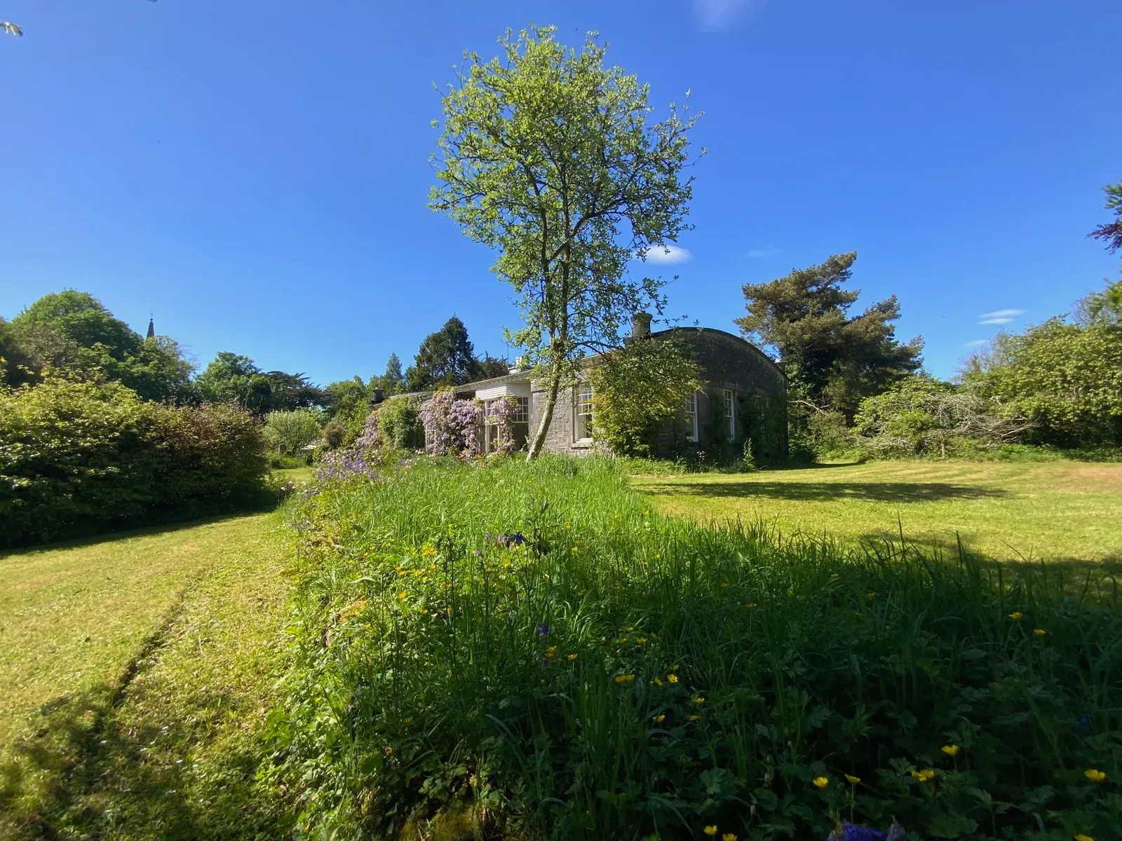 The Entire Estate