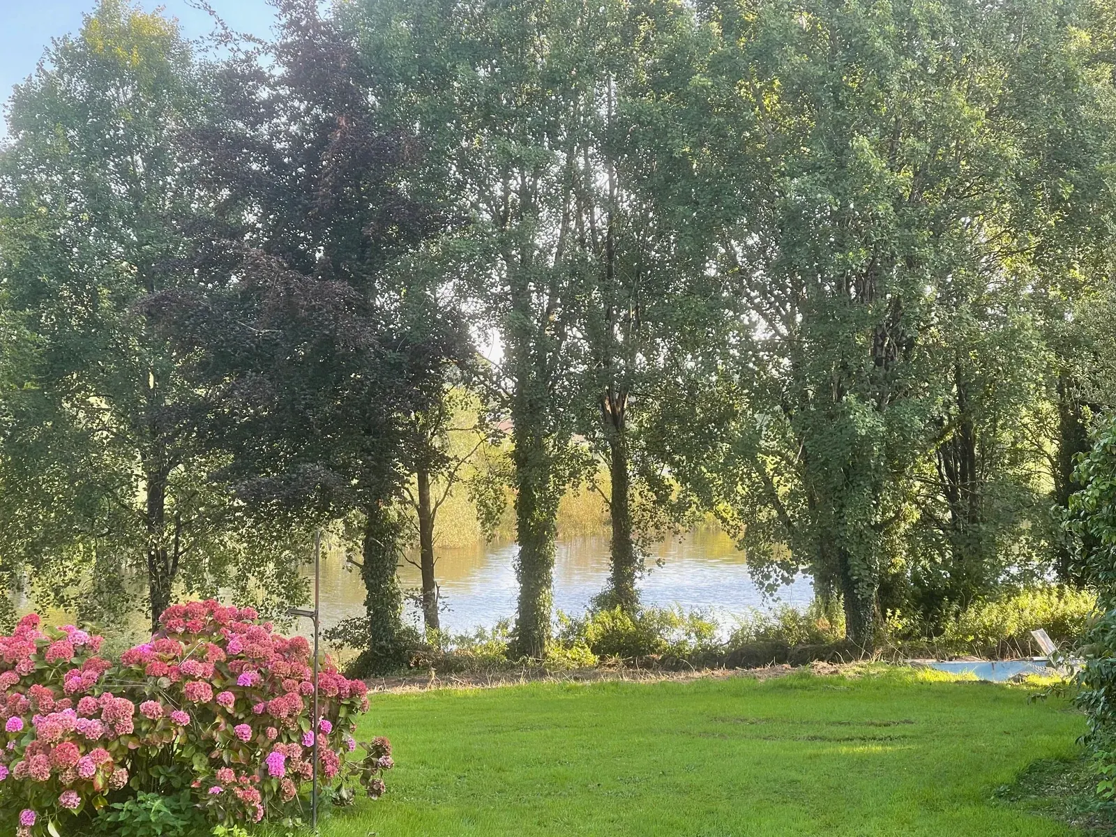 The Entire Estate — photograph 3