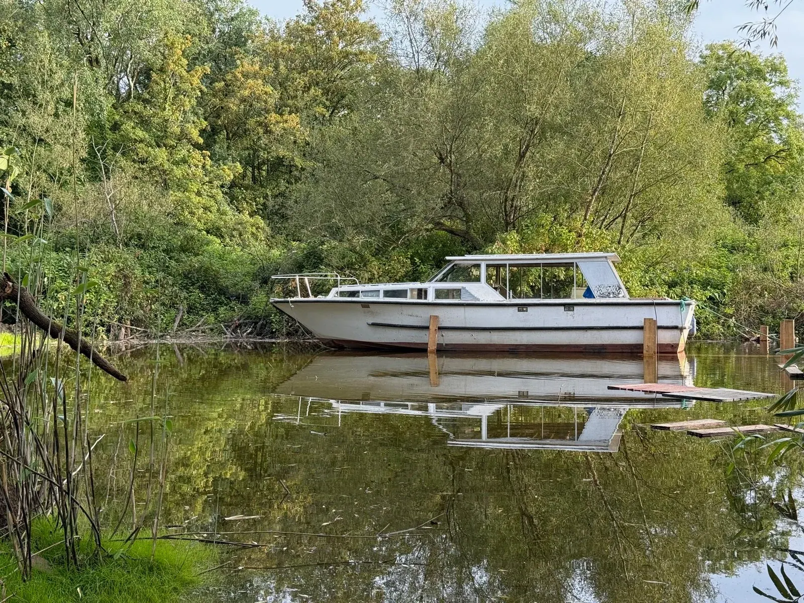 Boat Trips to Killaloe & Lough Derg — photograph 2