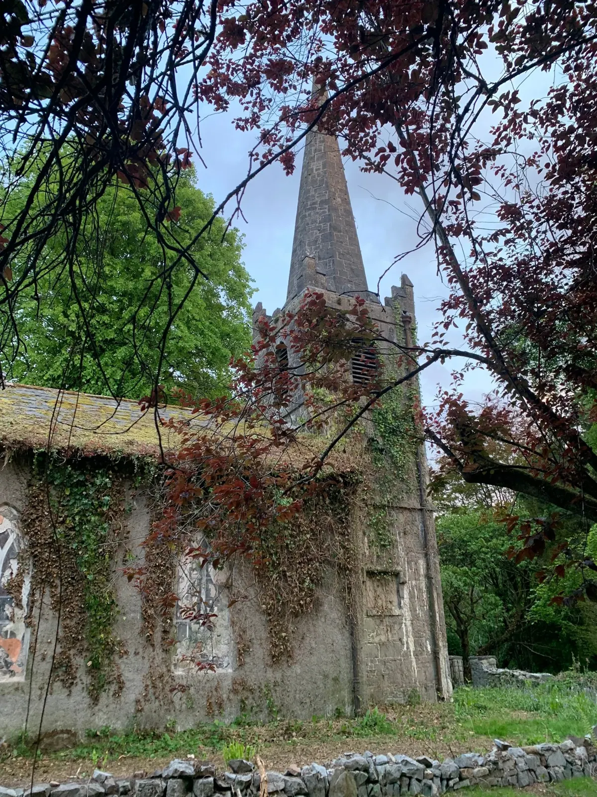 St Patrick’s Church — photograph 13