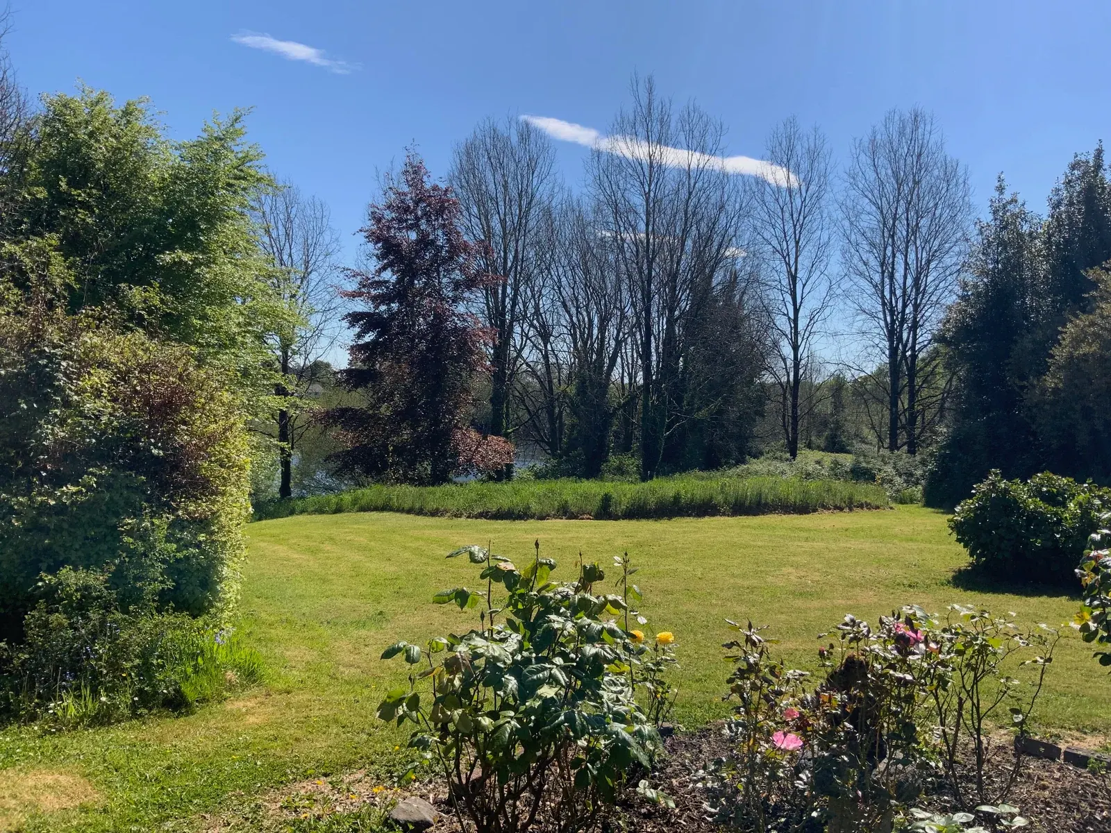 The Entire Estate — photograph 2